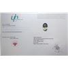 Image 3 : 60.04 ct Certified (Green Amethyst) - Prasiolite gemstone ($9,600 Appraisal)