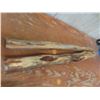 Image 5 : Two Pieces of Diamond Willow Wood, Each Approximately 38" Long