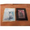 Image 5 : Eight Framed Cat-Themed Pictures, Largest 13 1/2" x 12"