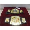Image 1 : Vintage WWF Wrerstling Championship Belts and Jakks Belts