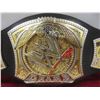 Image 9 : Vintage WWF Wrerstling Championship Belts and Jakks Belts
