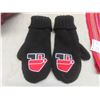 Image 4 : Two Métis First Nations Sashes Canvas Bag and Mitts