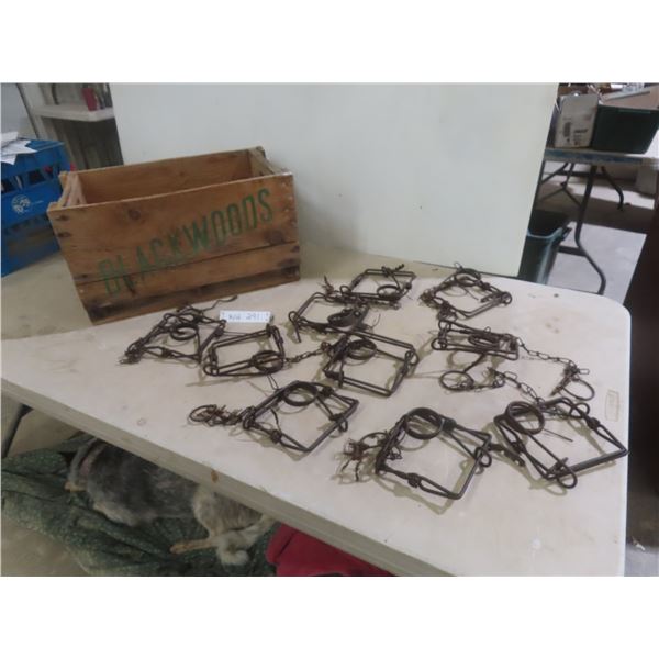 Ten Conibear Animal Traps And Blackwoods Crate