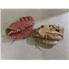 Image 6 : Two Easton And Cooper Baseball Gloves Plus Hockey Training Kit