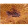 Image 6 : Vintage Burl Wood Bowl Sculpture With Outer Bark, 13" x 11" x 3"