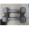 Image 3 : Steel and Plastic Dumbbells, 46 Pounds