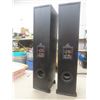 Image 4 : Two Soundstage Speakers, Model Stage 3.0, 150 Watts
