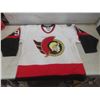 Image 1 : Ottawa Senators Jersey, Size 48, Daigle 91, Needs Cleaning