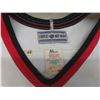 Image 2 : Ottawa Senators Jersey, Size 48, Daigle 91, Needs Cleaning