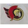 Image 3 : Ottawa Senators Jersey, Size 48, Daigle 91, Needs Cleaning
