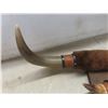 Image 3 : Mounted Longhorn Steer Horns With Leather and Faux Fur Wrapped Wall Mount, 26" Across