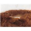 Image 6 : Alpaca Fur Wool Blanket, Needs Repair