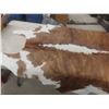 Image 4 : Cowhide Rug