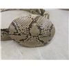 Image 6 : Three Exotic Leather Belts