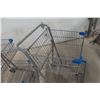 Image 3 : Five Shopping Carts, Double Basket