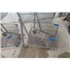 Image 4 : Five Shopping Carts, Double Basket