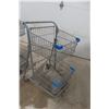 Image 2 : Five Shopping Carts, Double Basket