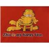 Image 10 : Vtg Garfield Lot Incl 3D Picture in Frame, Ornament in Box, Plush and Adult Large Sweatshirt