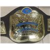 Image 21 : Three WWE Vtg Wrestling Championship Belts Incl Two Tag Team and One Heavyweight by Mattel 2014