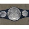 Image 3 : Three WWE Vtg Wrestling Championship Belts Incl Two Tag Team and One Heavyweight by Mattel 2014