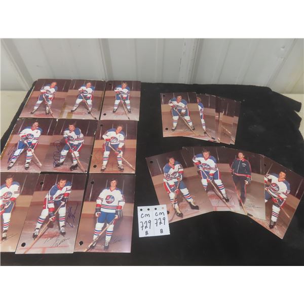 WHA Winnipeg Jets Postcard Collection