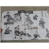 Image 5 : Old Timers Hockey Challenge Miniature Autographed Goalie Stick