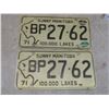 Image 2 : Four Vtg License Plates, Buffalo Manitoba, Alaska and Snowmobile