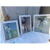 Image 1 : 3 Triple Pane Windows: 31 1/2" x 39 1/4", 39 1/2" x 47 1/4", 31 1/2" x 47 1/4"