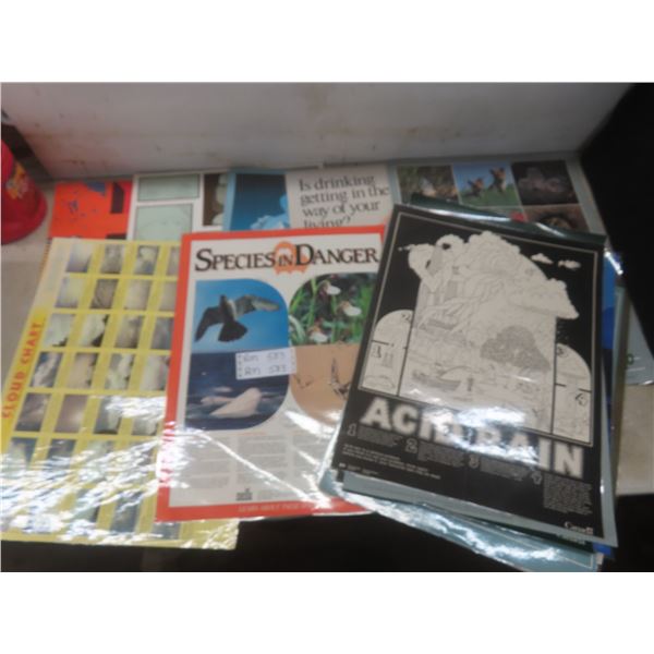 18 Vintage School Educational Laminated Posters