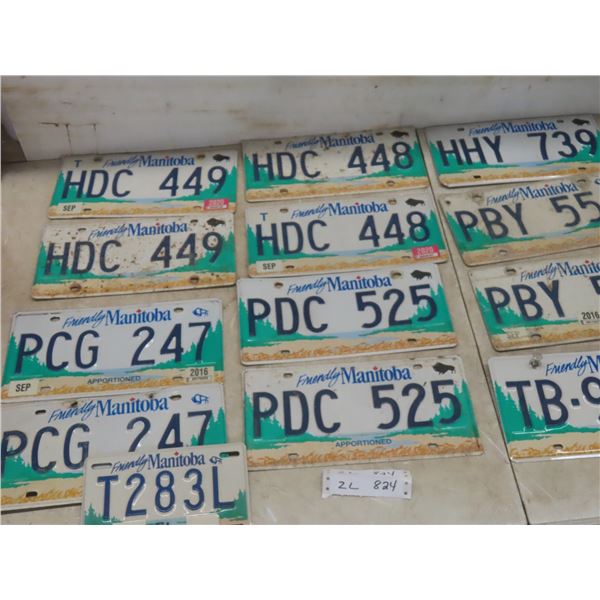 Thirteen Manitoba License Plates