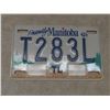 Image 8 : Thirteen Manitoba License Plates