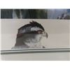 Image 6 : Signed and Numbered Framed Print 35" x 40"