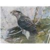 Image 7 : Signed and Numbered Framed Print 35" x 40"