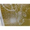 Image 5 : Framed Limited Edition Linocut Print 24" x 20"