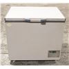 Image 1 : EVERFRESH CHEST FREEZER ON CASTORS