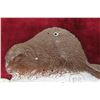 Image 2 : Saskatchewan 1935 Provincial Park Pass Beaver Badge Aluminum