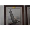 Image 2 : FRAMED PHOTO PRINT, IREX - 1911; BEKEN OF COWES (37 3/4" X 46")