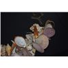 Image 5 : SHELL COLLECTION: LAMP, STRAND & SHELL CASSOLETTE (3 PCS)