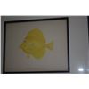 Image 5 : FRAMED LITHOGRAPHS, VARIOUS TROPICAL FISH (16" X 14 1/4") (8 PCS)