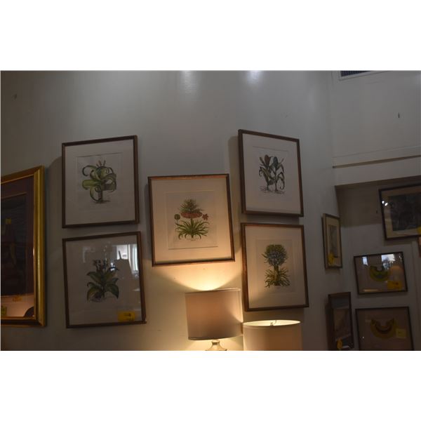 FRAMED BOTANICAL PRINTS (5 PCS)