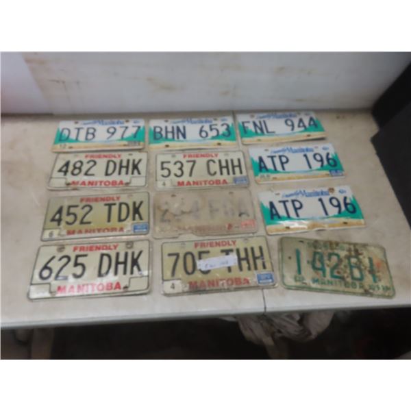 Twelve Manitoba License Plates