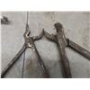 Image 3 : Antique Veterinary Tools and Pipe Wrenches