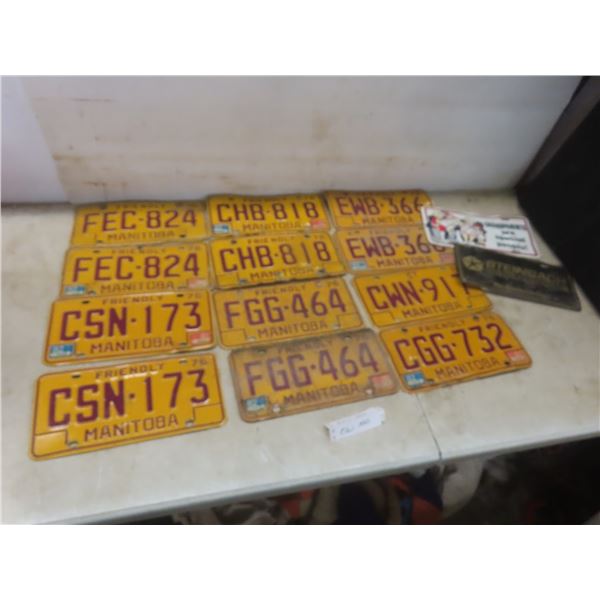 Twelve Manitoba 1976 License Plates Plus Two Novelty Plates