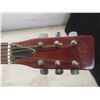 Image 5 : Raven Acoustic Guitar