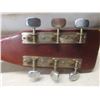 Image 8 : Raven Acoustic Guitar