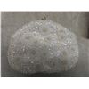 Image 12 : Eight Vintage Evening Clutches With Beadwork