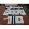 Image 1 : New Winnipeg Jets Winter Scarves