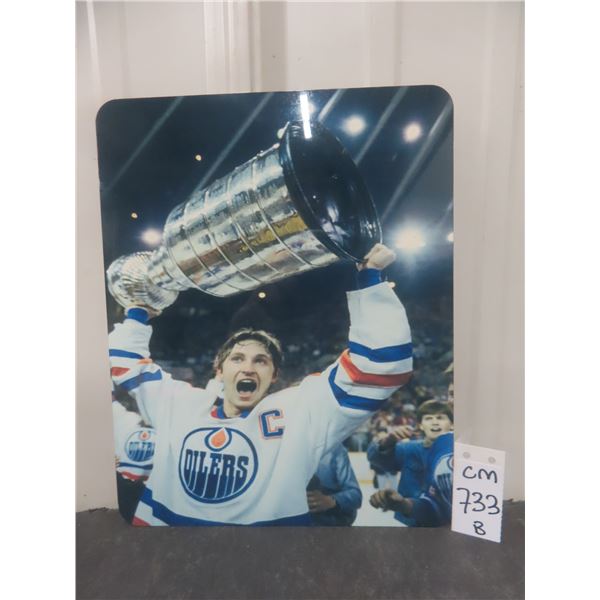 Wayne Gretsky Edmonton Oilers 8 X 10 Metal Sign