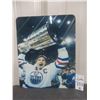 Image 1 : Wayne Gretsky Edmonton Oilers 8 X 10 Metal Sign
