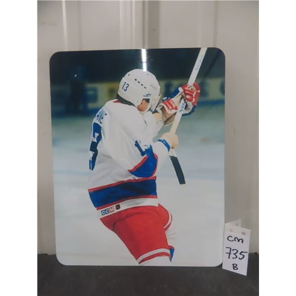 Teemu Selanne Winnipeg Jets 8 X 10 Metal Sign